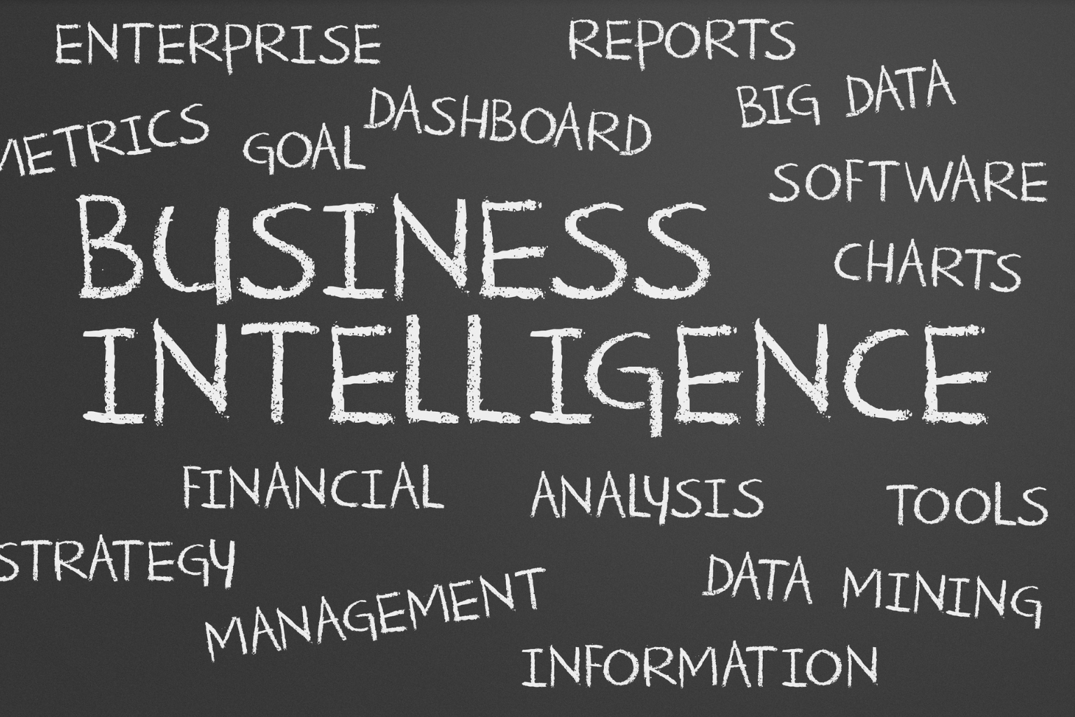 Business Intelligence Professional Program
